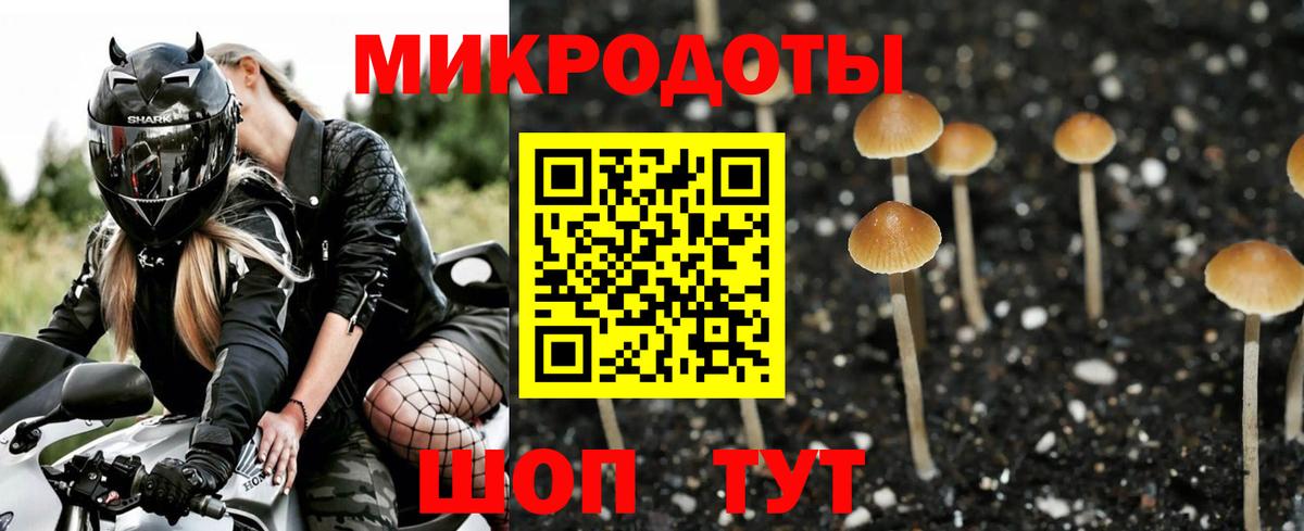 Псилоцибиновые грибы Cubensis  Вход с VPN  дарнет шоп  Полысаево  Псилоцибиновые грибы Cubensis 